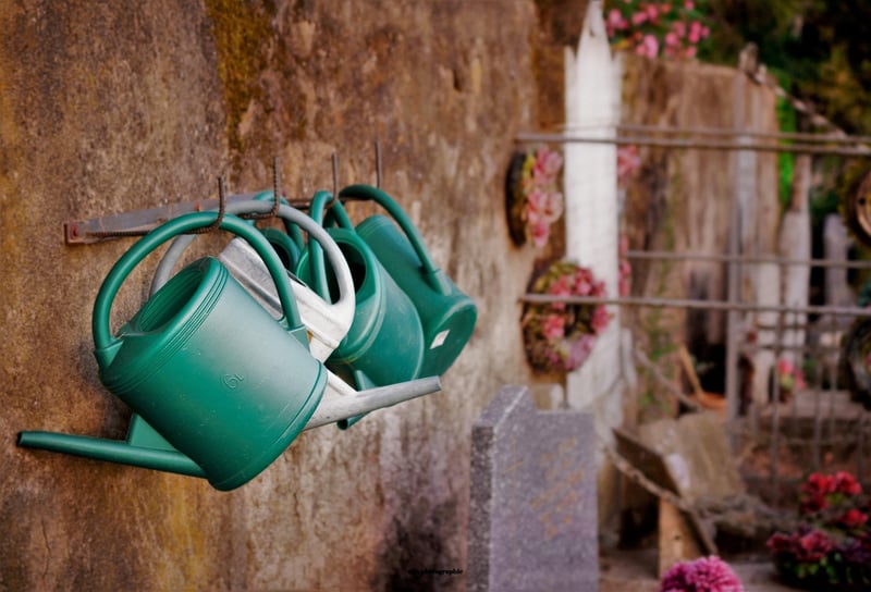 Self-Watering Pots