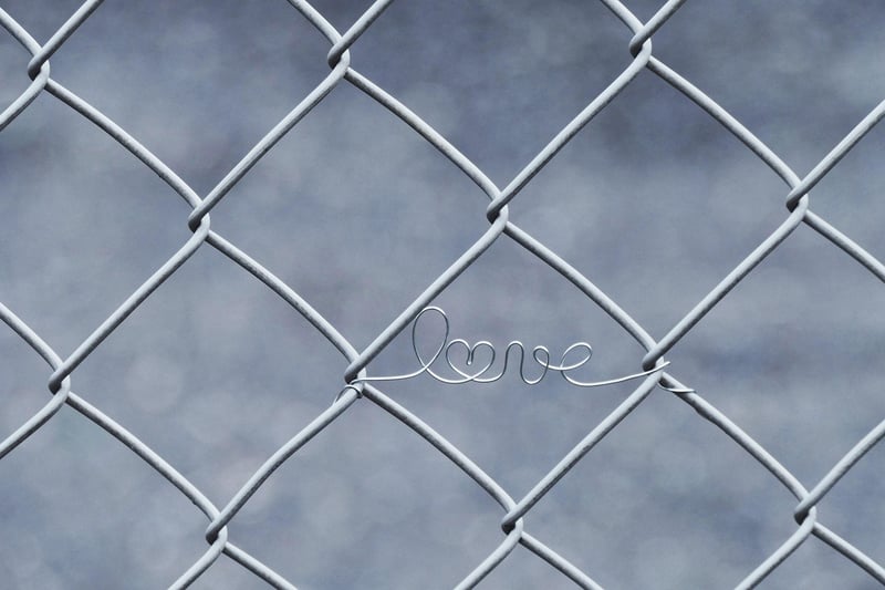 Wire Mesh Panel